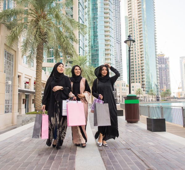 The Dubai Mall Sightseeing Experience 5