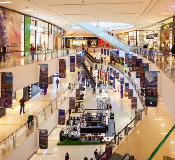 The Dubai Mall Sightseeing Experience